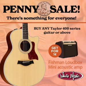 Penny deal buy acoustic guitar, get amp