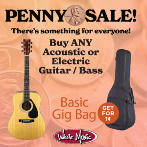 buy any acoustic or electric guitar get a basic gig bag